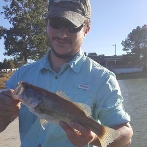 Meet your Posher, Patrick adam